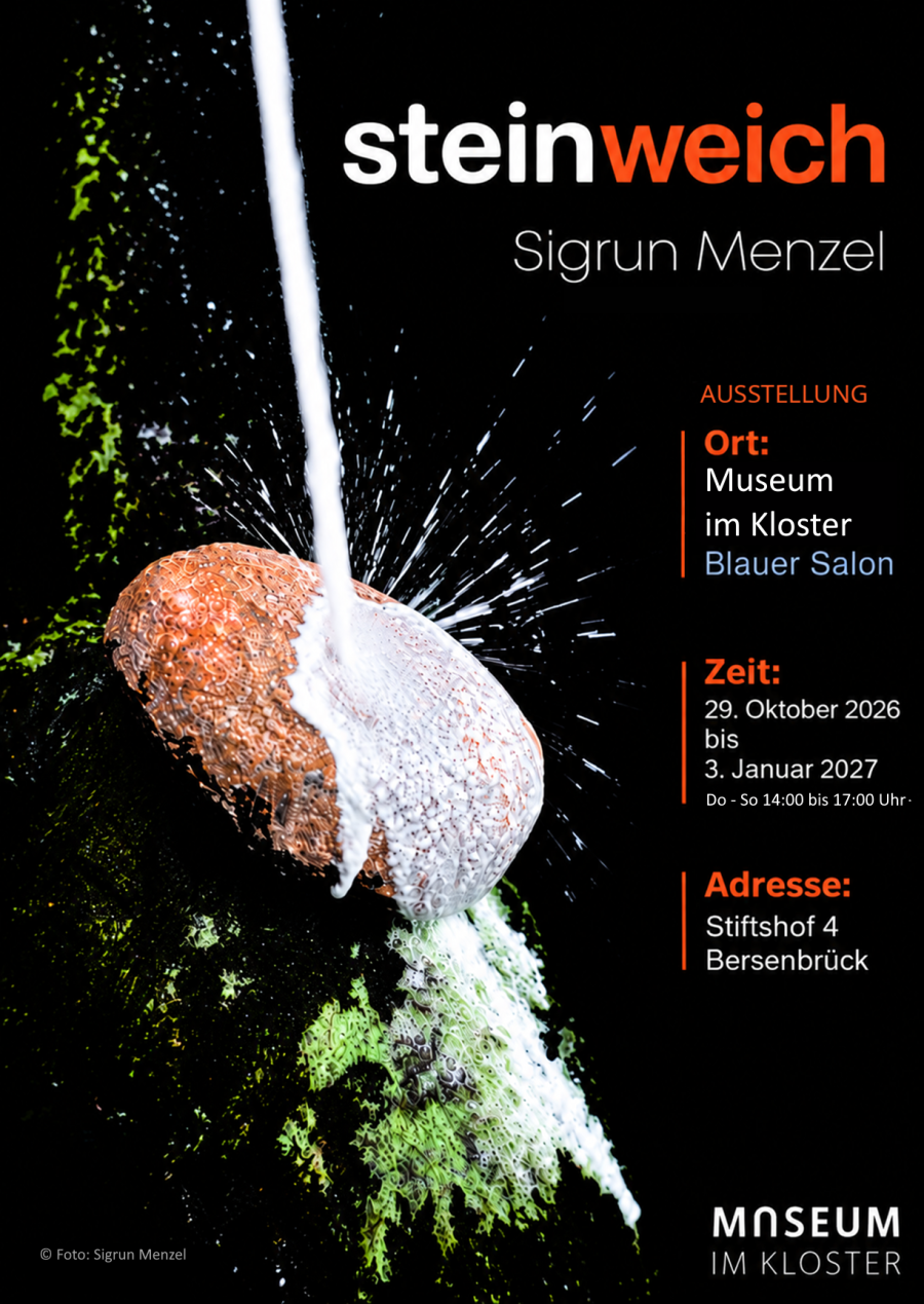 Zu sehen ist das Plakat zu Ausstellung "steinweich". Ein Stein ist darauf abgebildet, der mit einer weißen Flüssigkeit übergossen wird. Daneben stehen die genauen Angaben für die Ausstellung: Ort der Ausstellung ist der Blaue Salon des Museums im Kloster, die Ausstellung ist vom 29. Oktober 2026 bis zum 03. Januar 2027 zu den regulären Öffnungszeiten des Museums zu sehen.