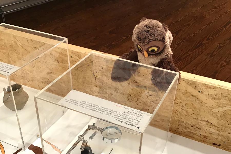 19. Mai 2019 - Internationaler Museumstag in Bersenbrück